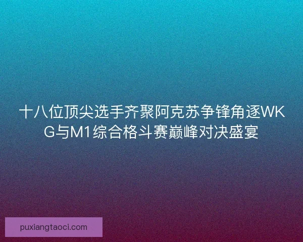 十八位顶尖选手齐聚阿克苏争锋角逐WKG与M1综合格斗赛巅峰对决盛宴
